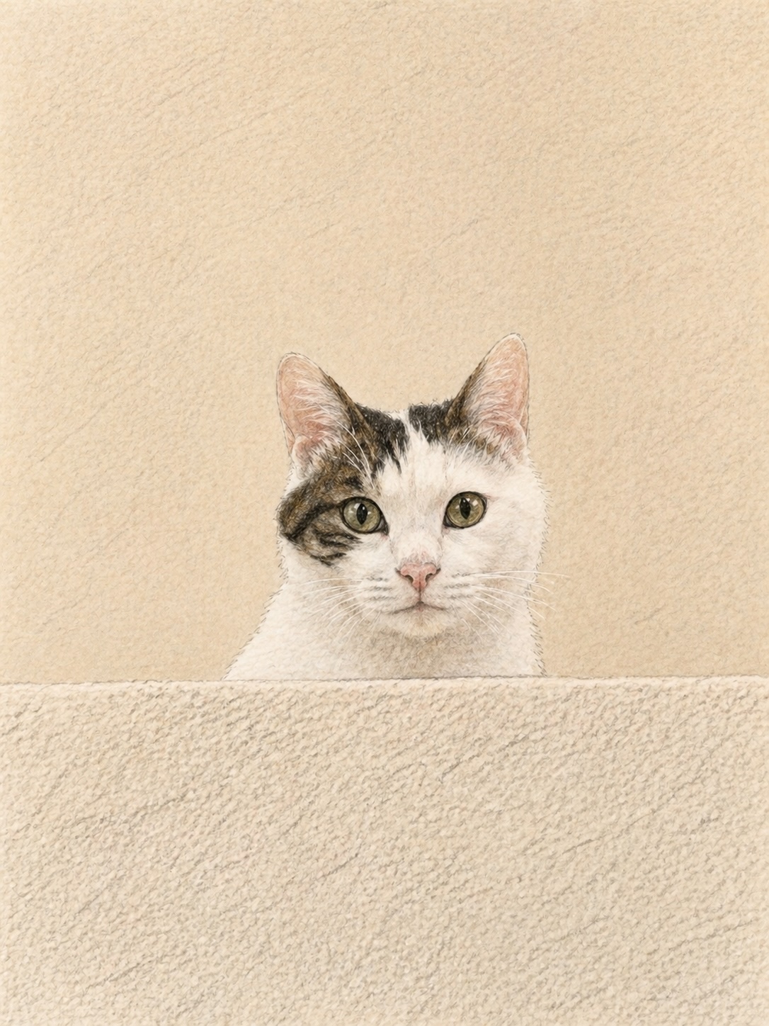 Mantou — a white-and-tabby cat peering over a beige wall.