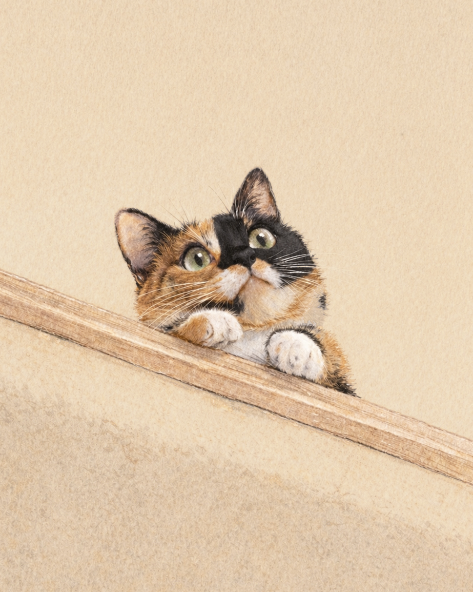 Shiitake — small, devoted, and absolutely never done talking.